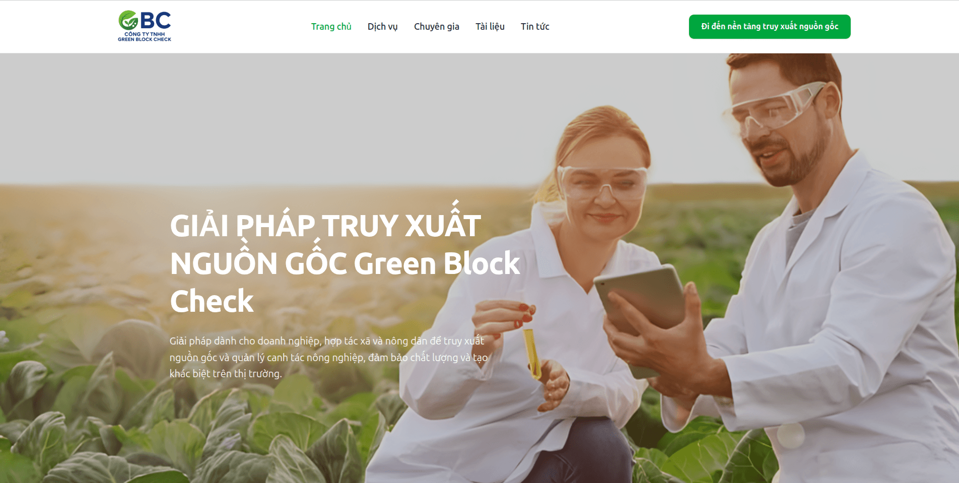 Green Block Check Company Website